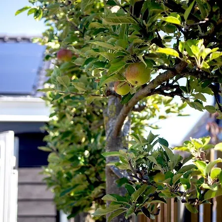 Ferienhaus Vorstelijk *