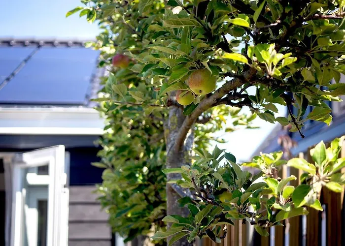 Ferienhaus Vorstelijk *