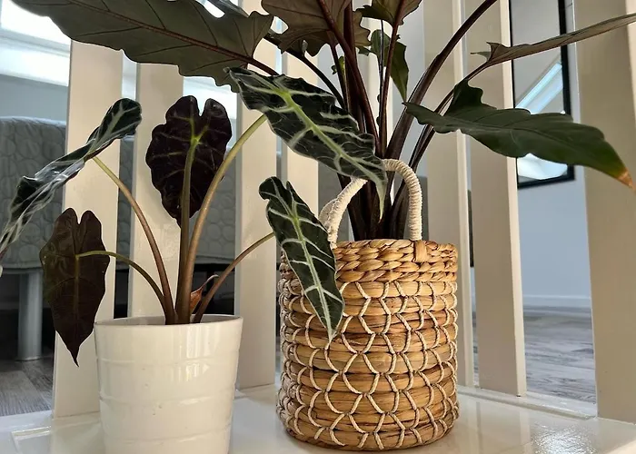 Vorstelijk Дом отдыха *